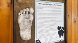 Bigfoot's Hideaway